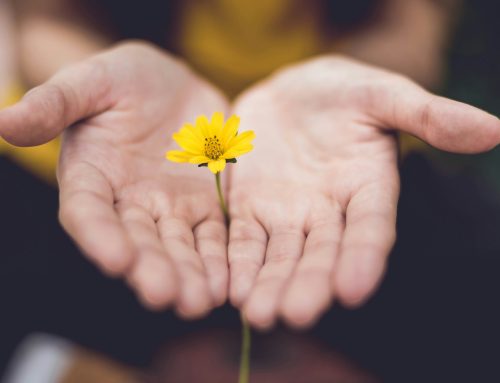 Empathie – die unterschätzte Kraft …